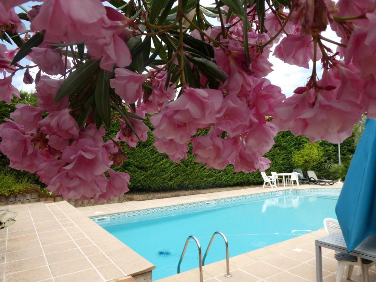 Villa Alessia Антиб Экстерьер фото